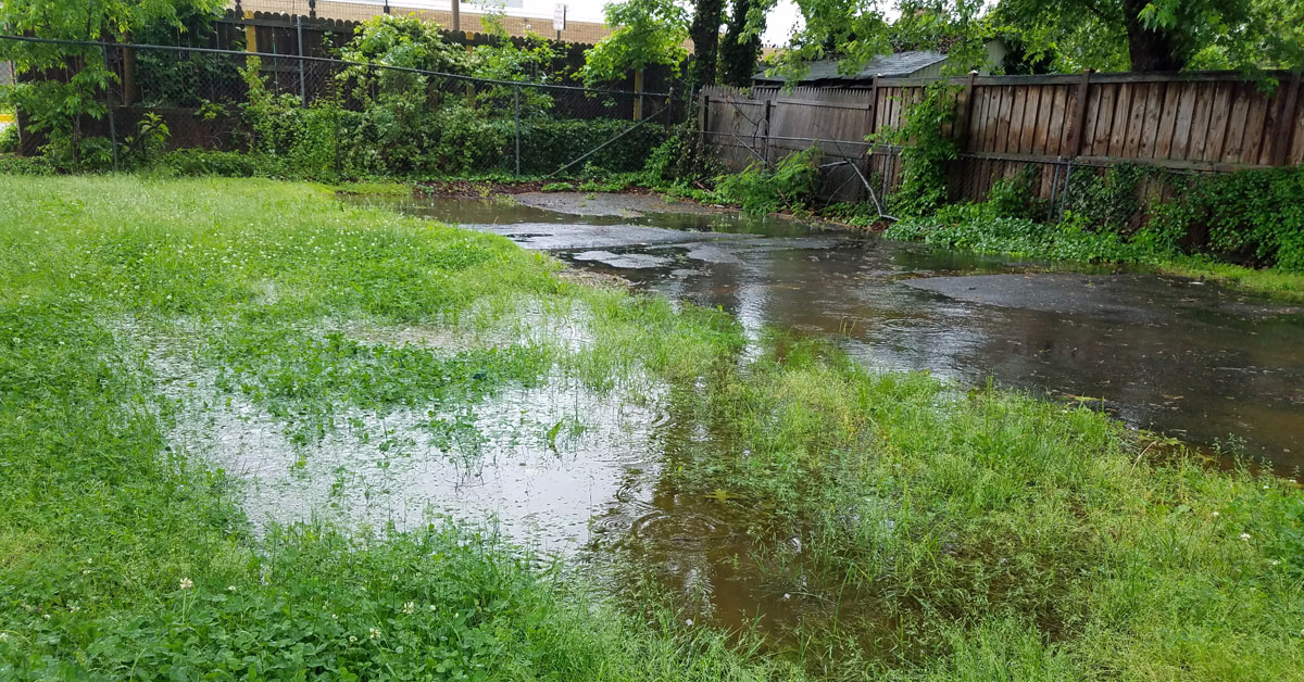 Standing Water In Yard Portland OR