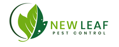 Pest Control in Vancouver WA from New Leaf Pest Control